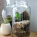 Heidi Dyer Photo 21