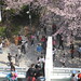 Dao Dang Photo 5