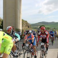 Vincenzo Arrigo Photo 8