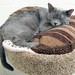 Dottie Gray Photo 30