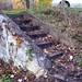 Neil Woods Photo 10