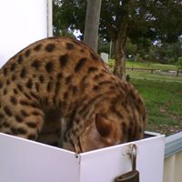 Sally Lowe Photo 26