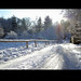 Chris Winters Photo 22