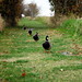 Jason Ladner Photo 11
