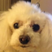 Nancy Armentrout Photo 4
