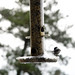 Shelia Turner Photo 21