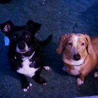Karen Hooper Photo 19