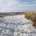 Michelle Winters Photo 24