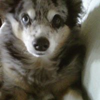 Nancy Betterton Photo 7