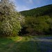 Clifford Meadows Photo 13