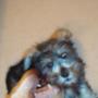 Sharon Galloway Photo 20
