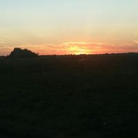 Lawrence Larkin Photo 2