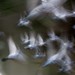 Ivor Mills Photo 8