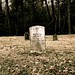 William Hamby Photo 38