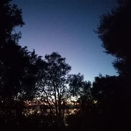 Bradley Newton Photo 37