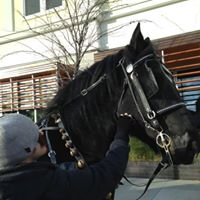 Brian Harker Photo 7