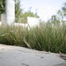 Mary Cowan Photo 16