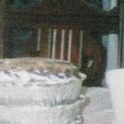 Dolores Simpson Photo 10