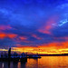 Sun Lim Photo 12