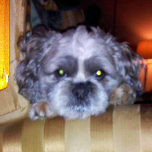 Linda Cates Photo 13