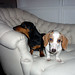 Jennifer Leonard Photo 9