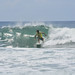 Neil Goodman Photo 37