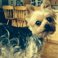 Kathy Dahlke Photo 14