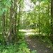 Marilyn Rowe Photo 21