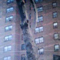 Tanya Simms Photo 13