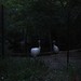 Michelle Crain Photo 19
