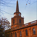 David Holy Photo 8