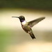 Amy Kerns Photo 17