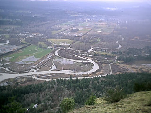 Joanne Peterson Photo 32