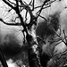 James Bianco Photo 17