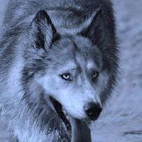 Susan Tharp Photo 10