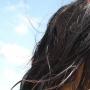 Valerie Gonzales Photo 42