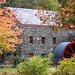 Deborah Longfellow Photo 14