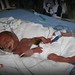 Jack Miracle Photo 5