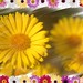 Marie Blum Photo 8