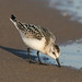 Marty Miller Photo 16