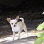 Tracy Mclain Photo 26