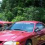 Mike Spaulding Photo 42