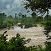 Long Phan Photo 31