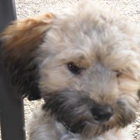 Janice Davison Photo 20