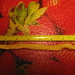 Chip Long Photo 12