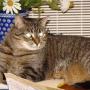 Kenneth Schafer Photo 34