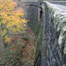 Thomas Leech Photo 32
