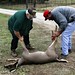 Tricia Spaulding Photo 8