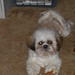 Eddie Combs Photo 36