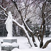 Mary Snow Photo 43